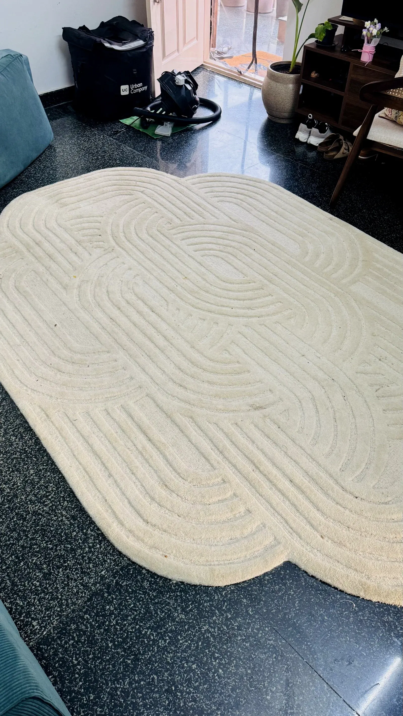 Sufiya Rugs Carpet 9’ x 6’ thumbnail 3